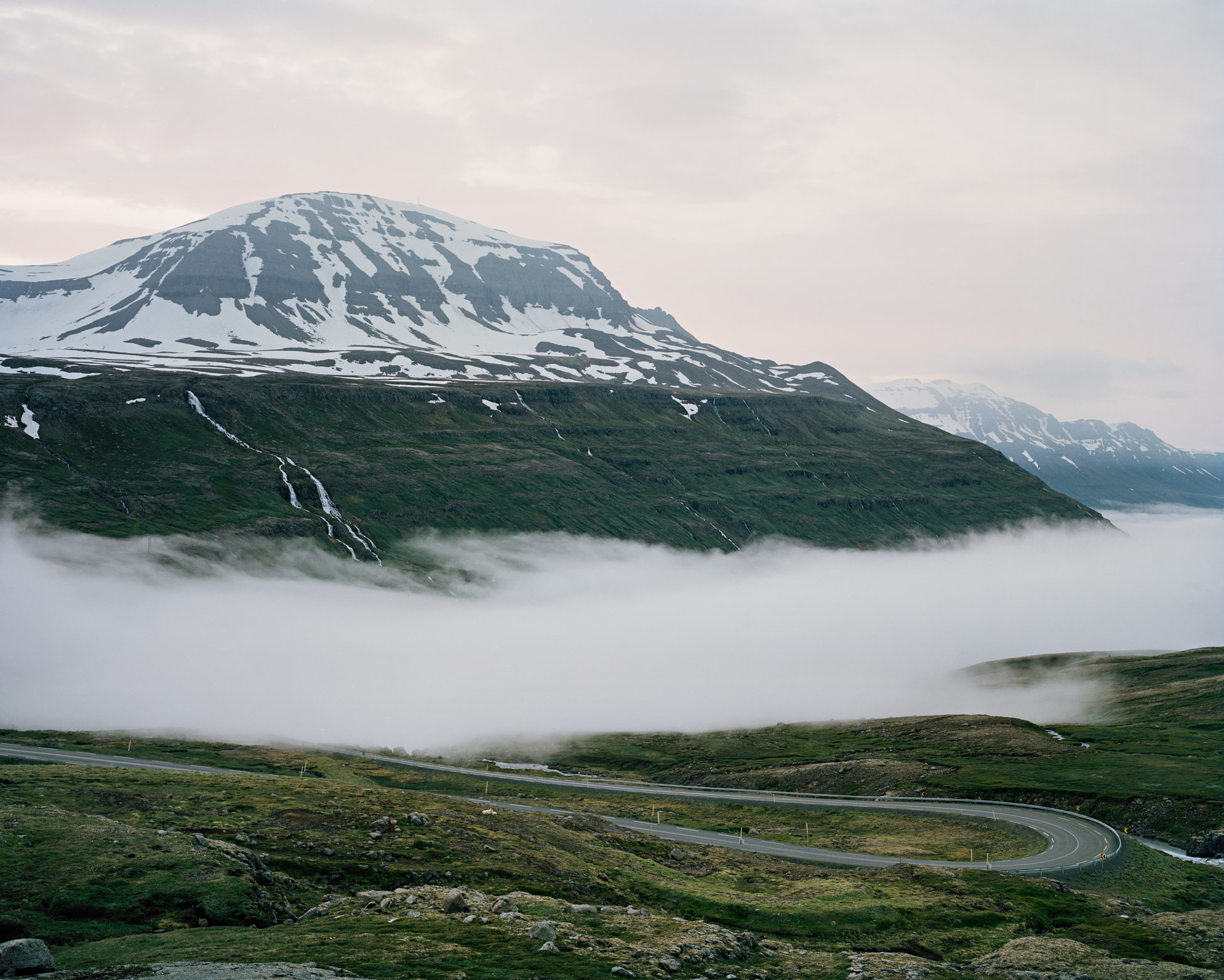 The Heath / Heiðin